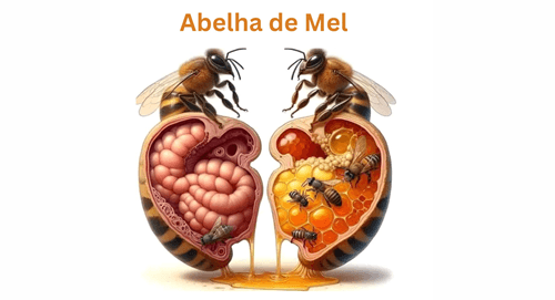 Curiosidades sobre as Abelhas: O trabalho dedicado das insetos produzindo mel