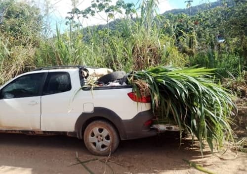 Bandidos invadem propriedade na região de Itaibó, rendem moradora e roubam veículo