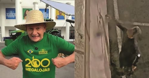 Luciano Hang oferece R$ 10 mil por informações sobre vandalismo em estátua da Havan